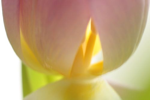 Het licht van binnen