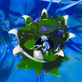 Blue Garden sur True Color Stories