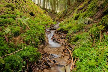 Cours d'eau de montagne sur Robin Feldmann