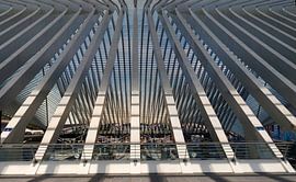 Station GUILLEMINS Luik von M  van den Hoven