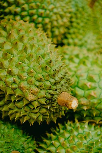 Koninklijk fruit: Close-up van een durian van NZME Photography