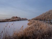 Winterse ochtend