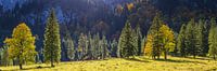 Herfst, Ammergauer Alpen van Walter G. Allgöwer thumbnail
