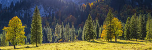 Herbst, Ammergauer Alpen