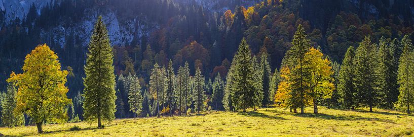 Herfst, Ammergauer Alpen van Walter G. Allgöwer
