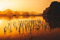 Zonsondergang in Trang An van Loris Photography thumbnail