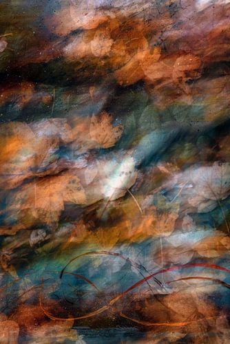 Autumn Abstract