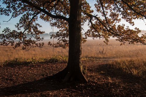 Geben Sie ihm eine Chance