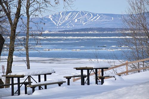 Tafels in het park in de winter