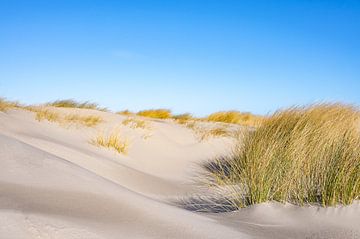 Strand op het eiland Schiermonnikoog in de Waddenzee van Sjoerd van der Wal Fotografie