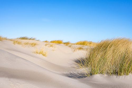 Strand op het eiland Schiermonnikoog in de Waddenzee