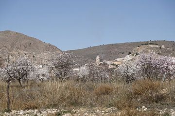 Bloeiende amandelbomen met bergdorpje Oria op de achtergrond van Cora Unk