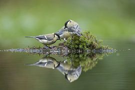 Wir drei von Apple Brenner