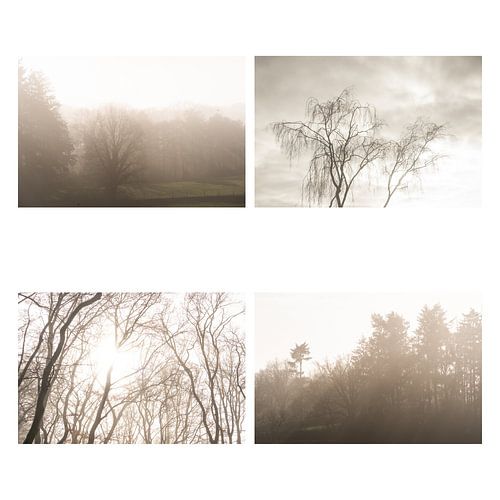 RHEIN - Offenes Dach