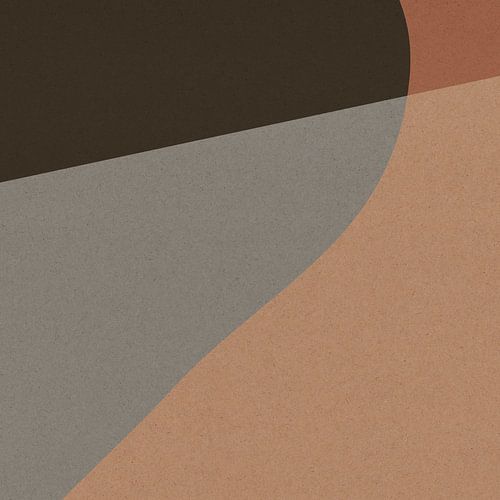 Abstracte organische en geometrische vormen nr. 6