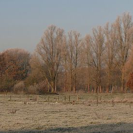 Het oude en nieuwe landschap van Nederland. van Wim vd Neut