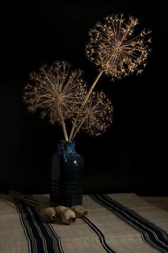 la vie tranquille avec des fleurs séchées de bulbes d'oignons