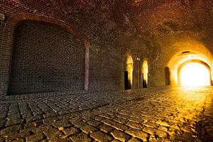 Tunnel naar het licht van Wim Brauns