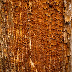 BOIS VIEUX II sur Ullrich Gnoth