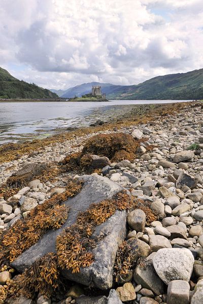 Castle by Annick Cornu