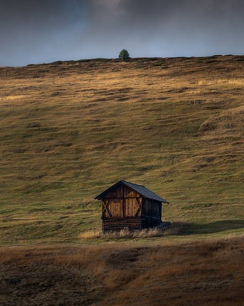 Wooden House by Robin Gooijers | Fotografie
