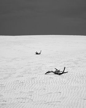 Råbjerg Mile in schwarz-weiß