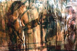 Erinnerungen von Harry van Rhoon