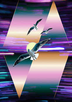 Fantasy Birds