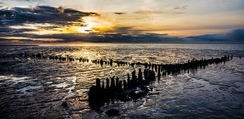 vieille gloire fanée