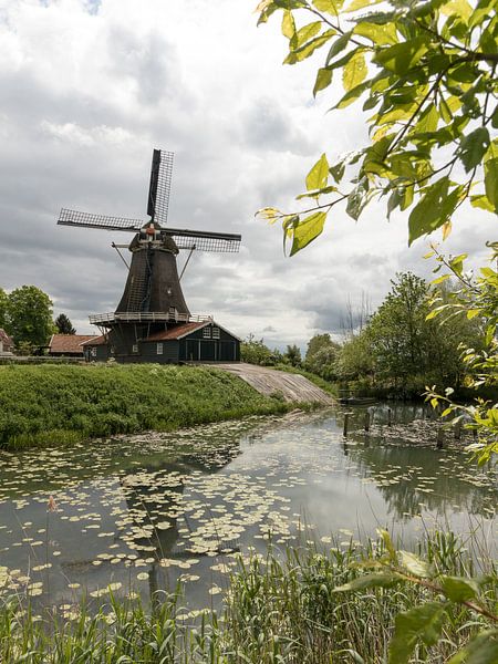 Hollands landschap | molen | Deventer van Marianne Twijnstra