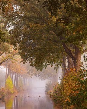 Herfstsfeer in de Groninger Veenkoloniën van Marga Vroom