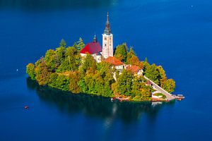 BLED 03