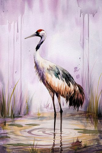 Sierlijke kraanvogel in water