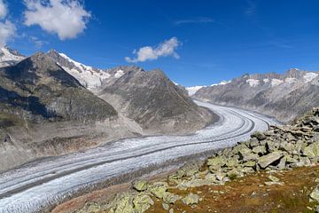 Aletschgletscher in der Schweiz von Paul van Baardwijk