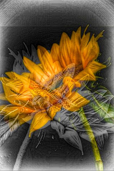 Die Geburt von Truckpowerr