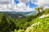 Sao Muigel by Fabian Roessler thumbnail