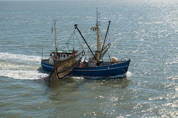 Nederlandse vissersboot van Tonko Oosterink