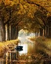Autumn - Friesland by Edwin Kooren thumbnail