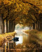 Autumn - Friesland