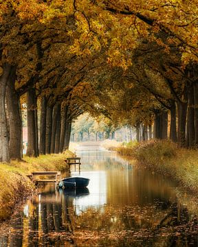 Herbst - Friesland von Edwin Kooren