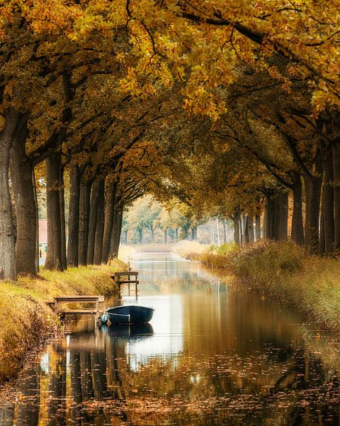 Autumn - Friesland by Edwin Kooren