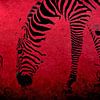 Zebra on Red van Aimelle ML