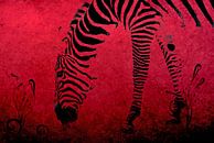 Zebre sur fond Rouge van Aimelle ML thumbnail