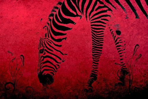 Zebra on Red