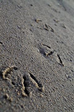 Pootafdrukken in het zand van Marieke van der Hoek-Vijfvinkel