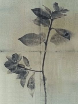 Stilleven van een plant in Japandi stijl van Japandi Art Studio