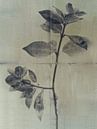 Stilleven van een plant in Japandi stijl van Japandi Art Studio thumbnail