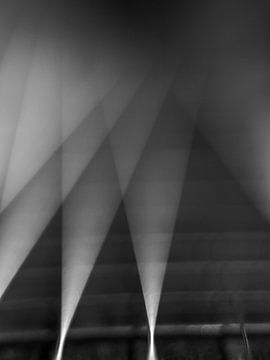 Abstracte Snaren Over De Hals van Mr White Takes Pictures