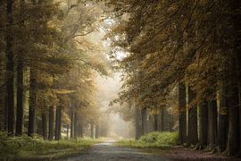 An einem nebligen Herbstmorgen von Jos Erkamp