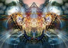 Papilio machaon by Andreas Schulte